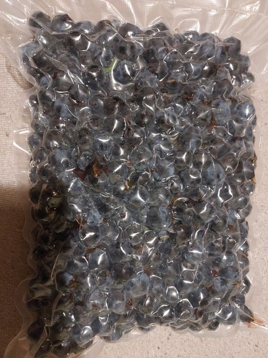 Tarnina owoce świeże 5 kg zbiór Sudety/ Bieszczady