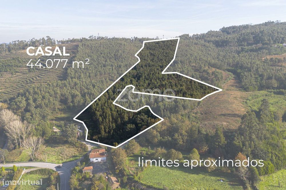 Casal - Terreno de uso Silvícola e Agrícola c/ 44.077 m², em Sobrei...