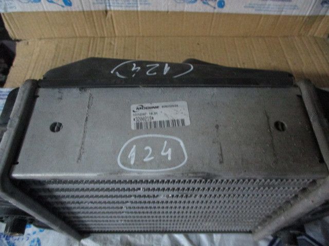 Radiador do intercooler FIAT Panda Van (169_)