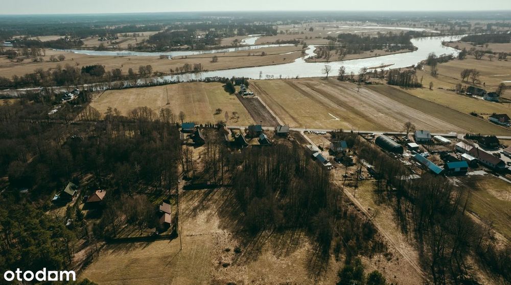 Wyjątkowa działka 8900 m² z własnym lasem w Bojanach, gmina Brok - Widok 5