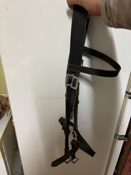 Cabeçada há portuguesa usada 2 vezes