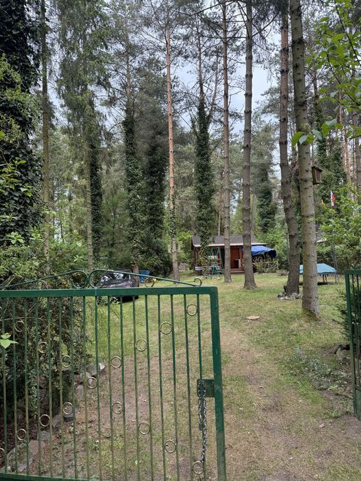 Sprzedam domek nad jeziorem Wyspowo i odstapie dzierzawe wieczystą . - Widok 6