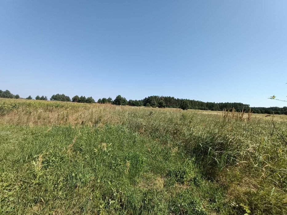 Продам будинок біля лісу в с.Соболівка.Після ремонту,пічка,3 фази,колодязь