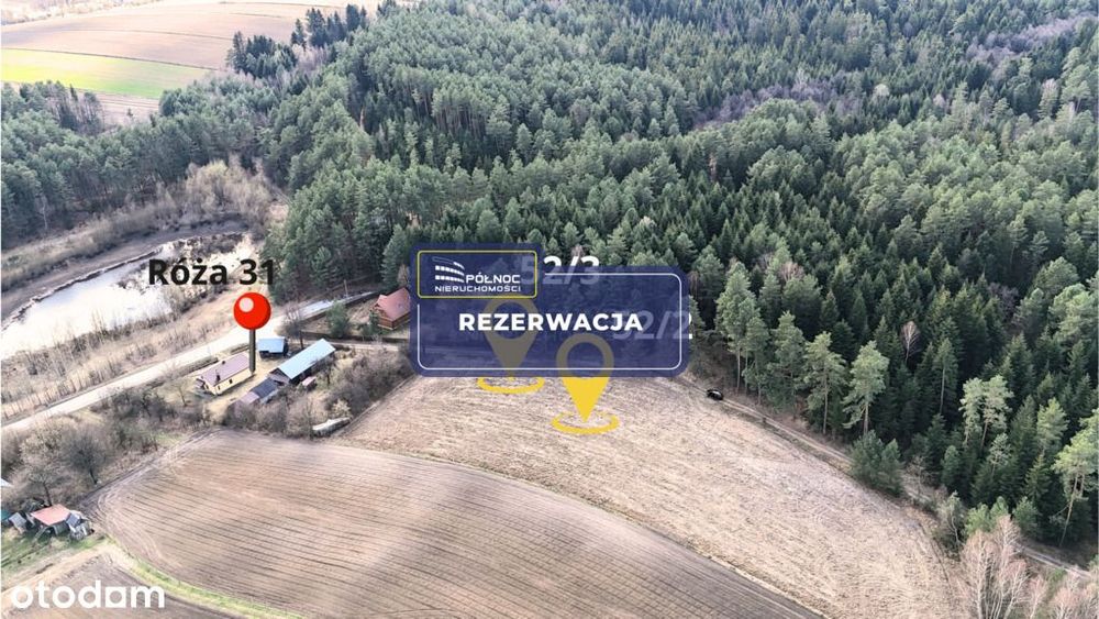 Ucieknij od zgiełku – działki w Róży gm. Susiec