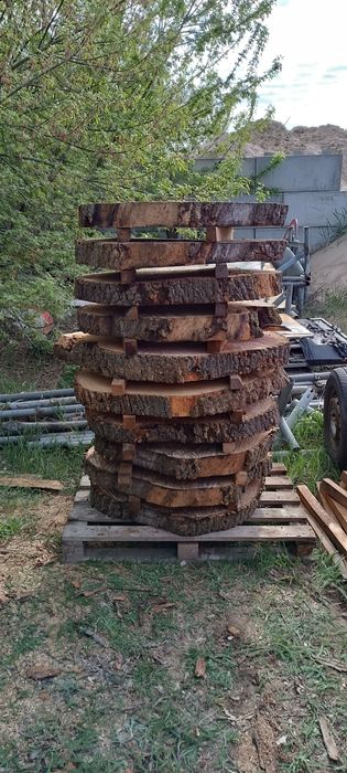 Plastry drewna z jesionu