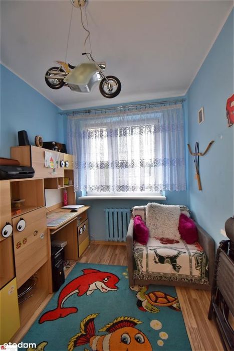 Zdjęcie 8