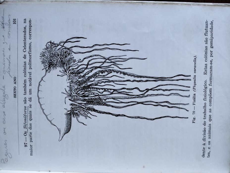 Antigo Compêndio de Biologia