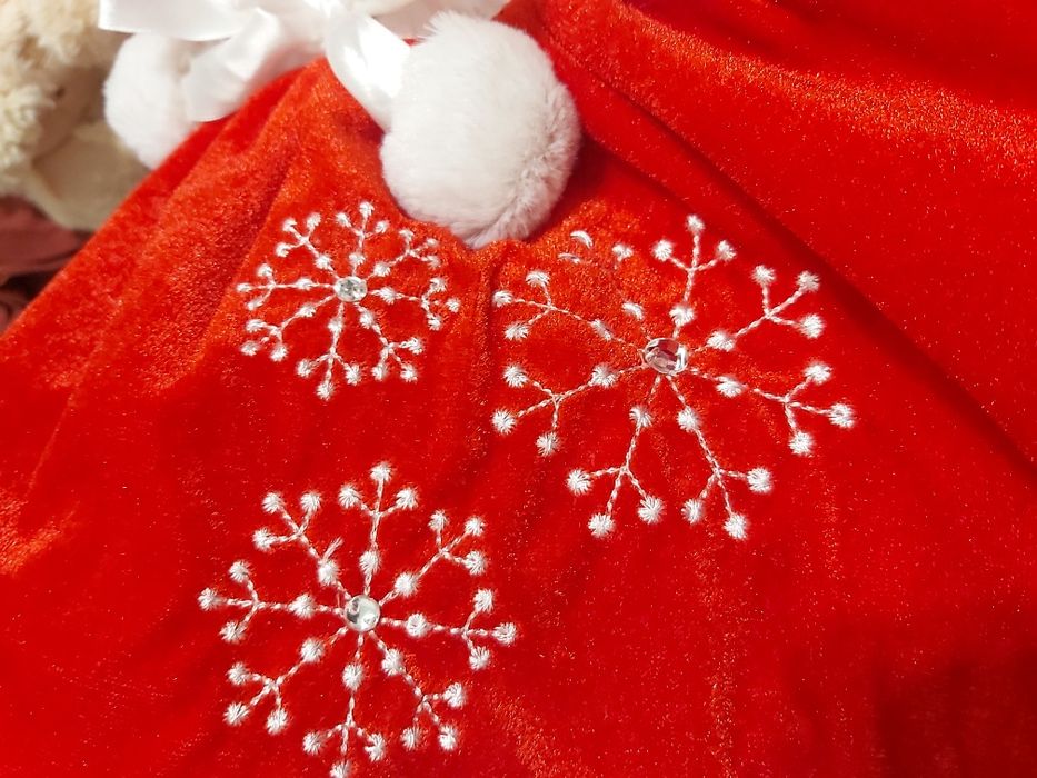 Костюм Санти на собачку, кошку