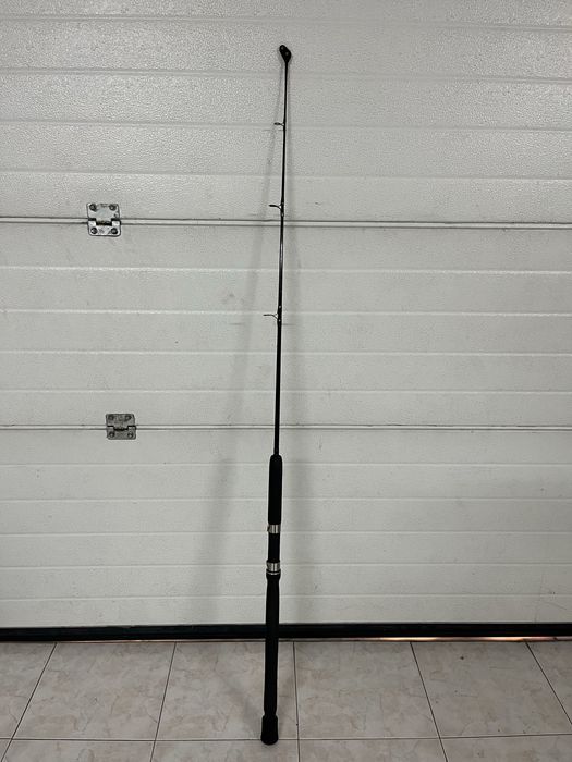 Cana de pesca Amnesia