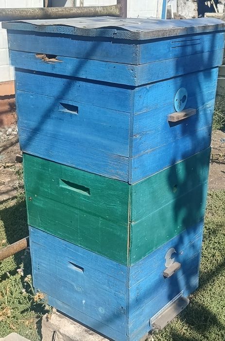 Продам пасіку!!!