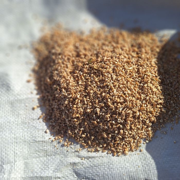 Pszenica Gnieciona Dla Kur Niosek 25kg