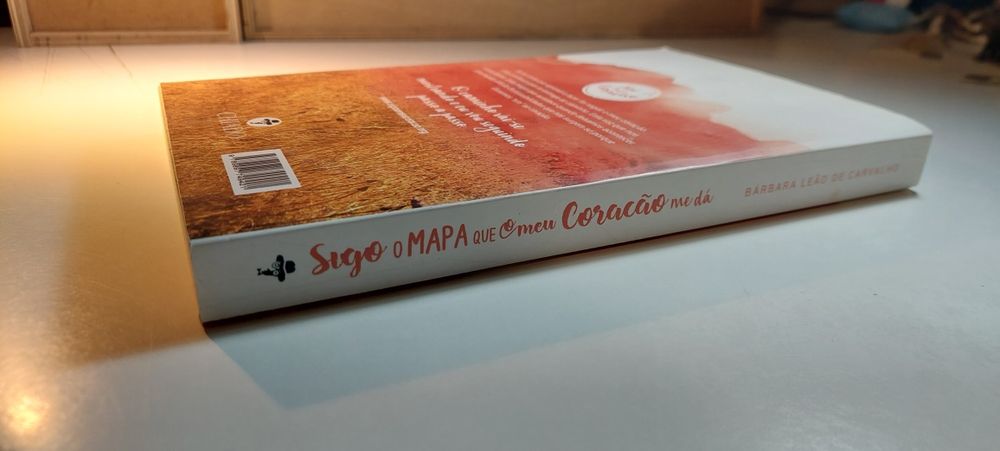 Sigo o Mapa que o meu Coração me Dá - Bárbara Leão de Carvalho