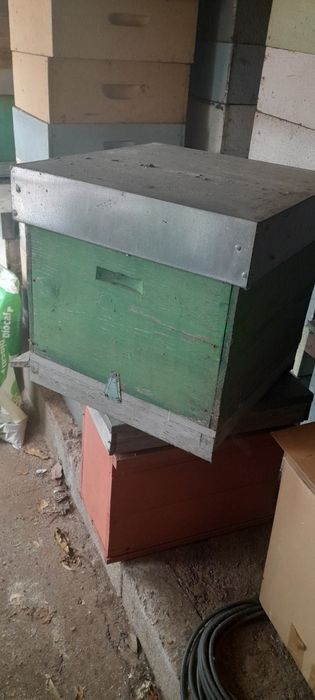 Vendo material abelhas