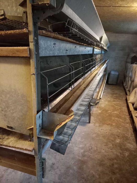 Клітка для курей несушок