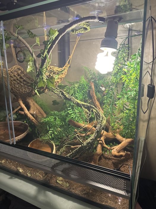 Великий тераріум ТЕРМІНОВО