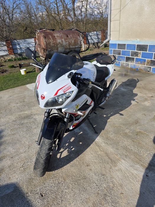 Viper V250 f2, 2021
