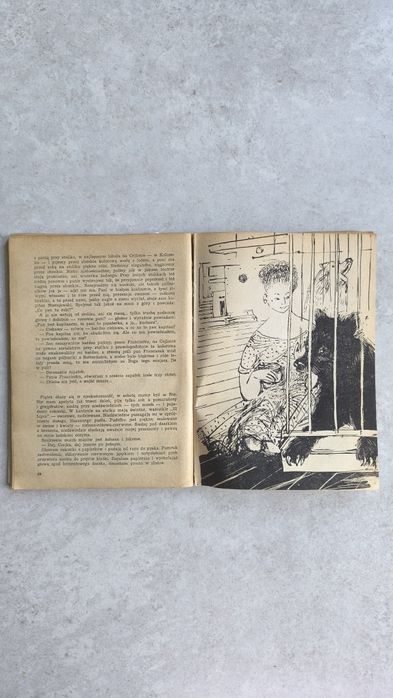 Płynę w świat - Czajka