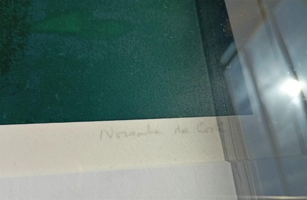 Serigrafia Noronha da Costa 1
