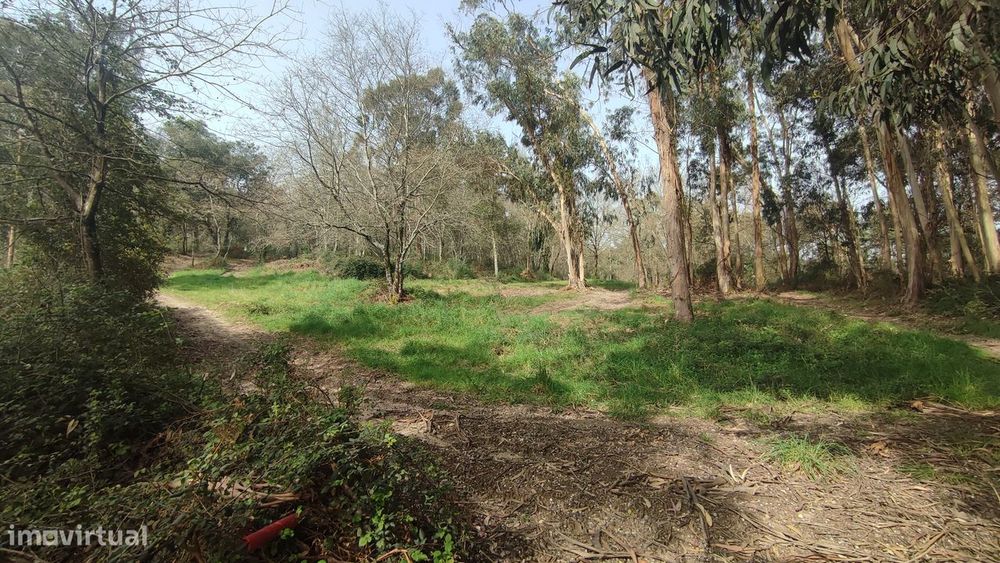 Land Plot in Turiz, Vila Verde