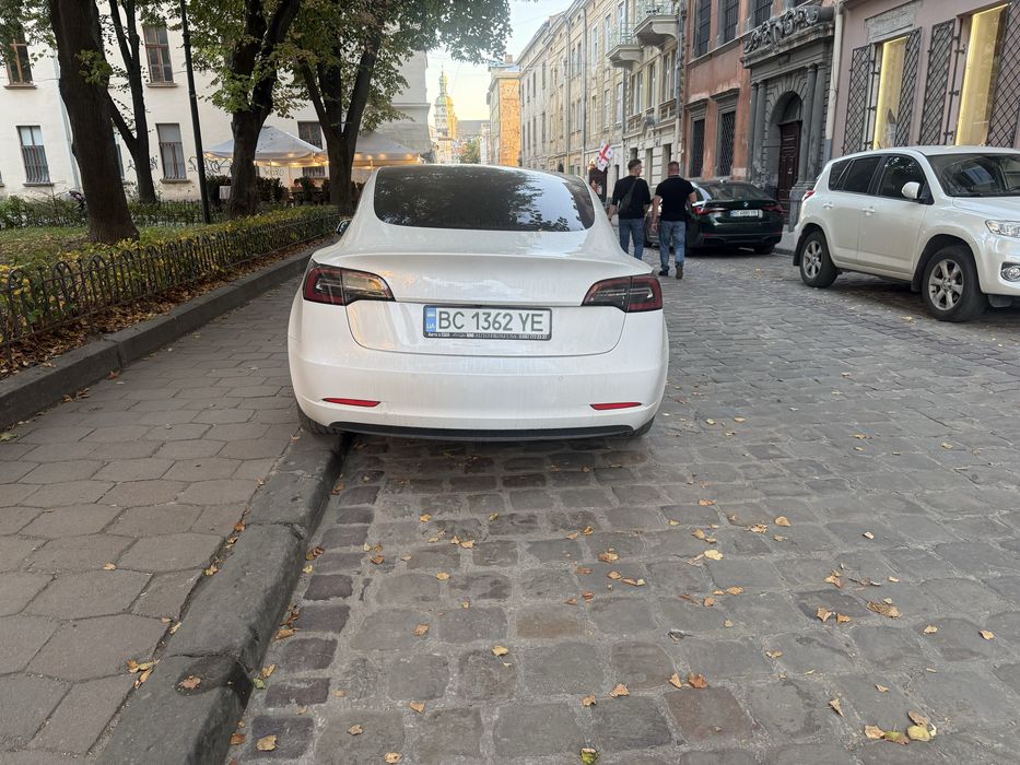 Тесла 3 Standard Range Plus