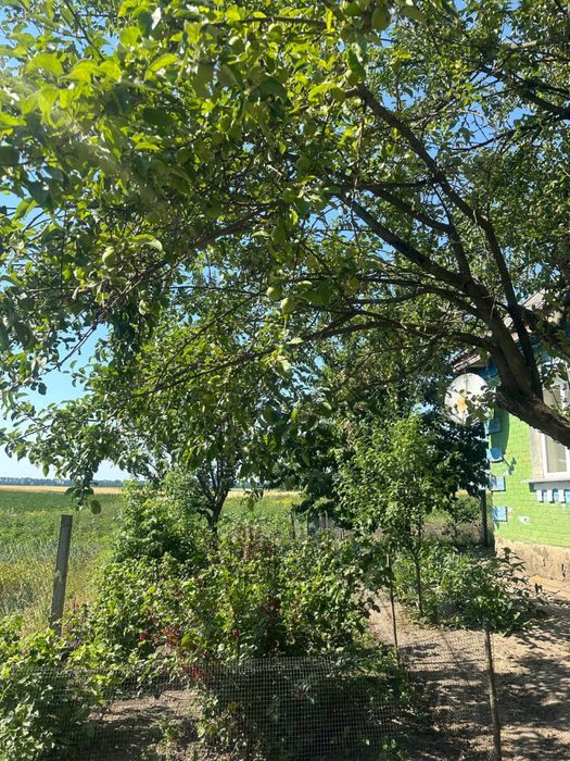 Продаж будинку с.Вахнівка Вінницької обл