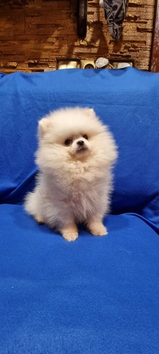 Гарненький Хлопчик!