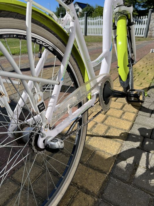 Rower Eurobike Picnic Biały