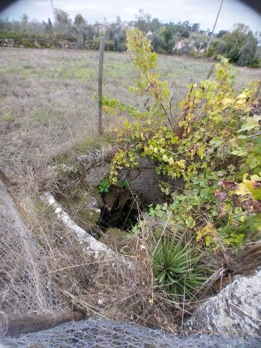 Terreno rústico perto serra da estrela