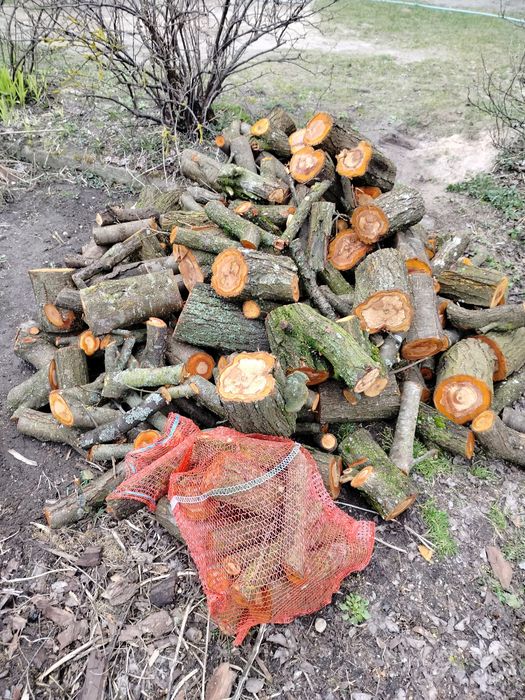 Drzewo do wedzenia śliwka,jabłoń,gruszka pakowane w worki