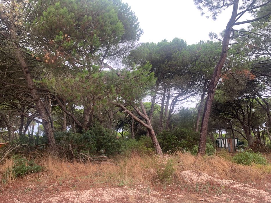 Terreno à Venda na Aldeia do Meco, Sesimbra