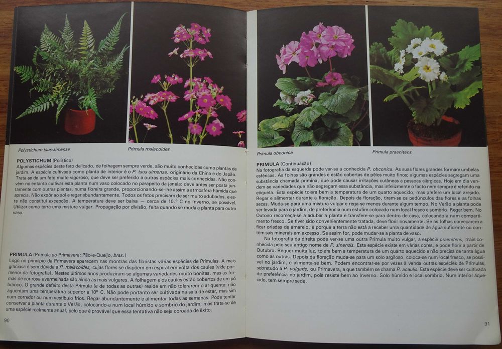 Plantas de Interior de Rob Herwig