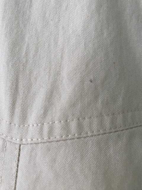 Prochowiec na wiosnę.