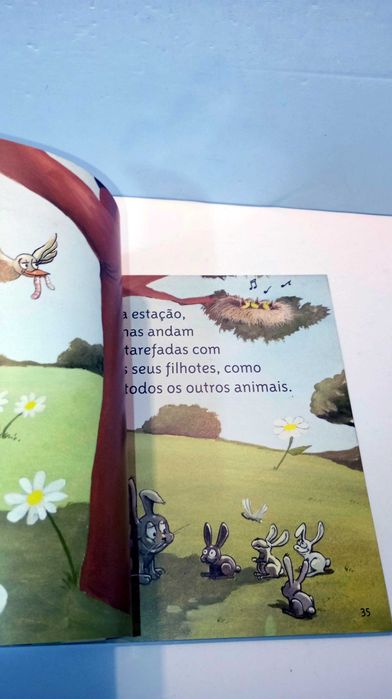 A História da árvore Elvira - Cantar de Galo