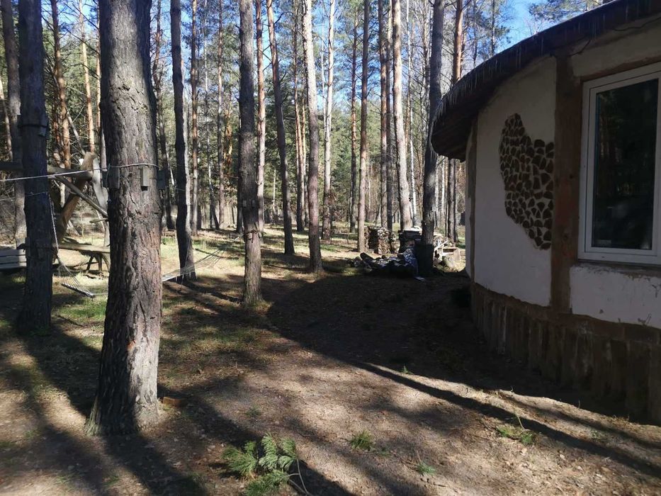 Продається велика ділянка в лісі з недобудованим будинком