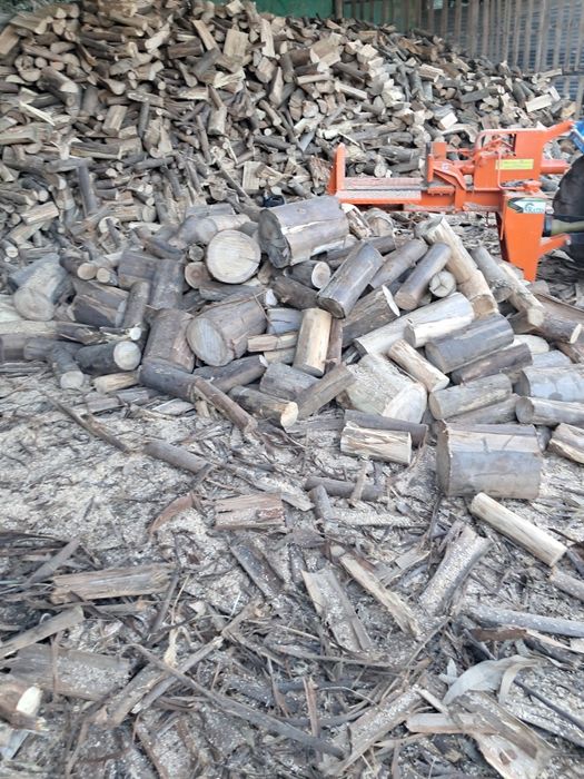 Lenha,sacos de pinhas bravas e sacos lenha de carvalho