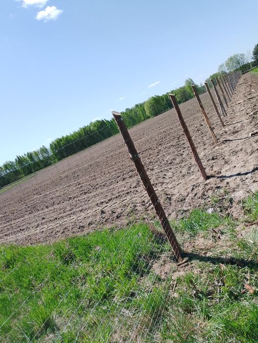 ogrodzenia z siatka leśna  tymczasowe. Posiadam również kołki