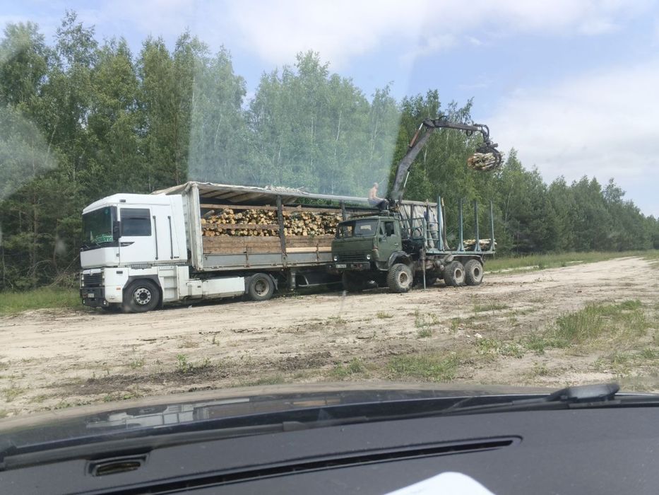 Береза/Сосна/Вільха 2 м. Колоди/Дрова Доставка тільки ОПТ від фури