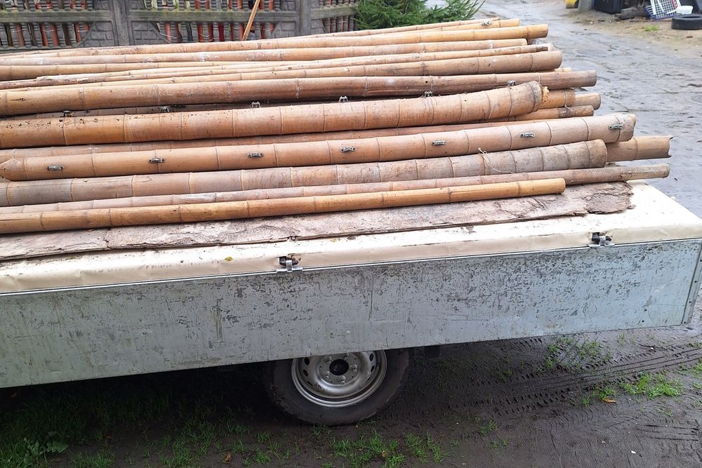Tyczki bambysowe naturalne