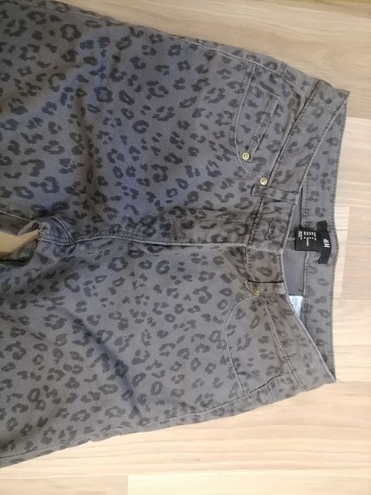 Spodnie hm pantera 36