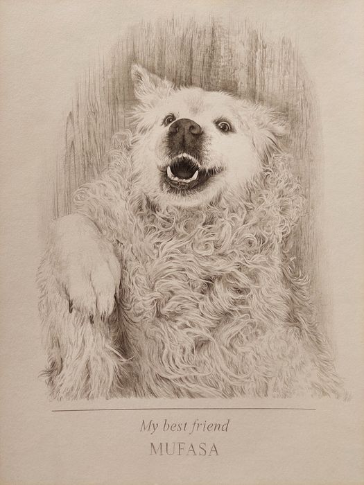 Retratos a grafite/carvão