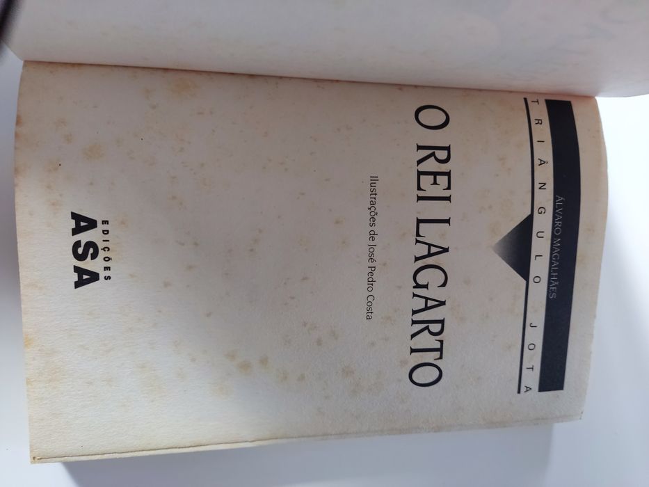 Livro O rei lagarto de triângulo jota