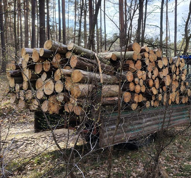 Sprzedam drewno opałowe