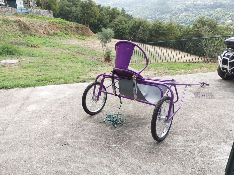 Charrete do tipo Sulky