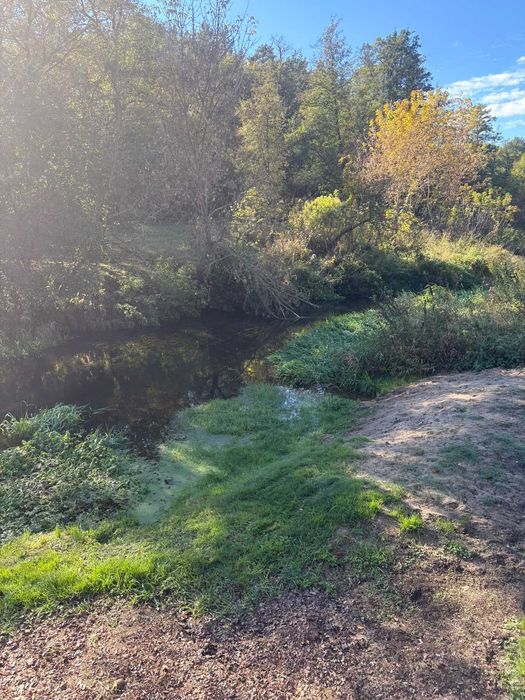 Wyjątkowa działka nad rzeką Wilgą– 29 Arów spokoju i natury, Zaledwie 60 KM OD WARSZAWY! - Widok 3