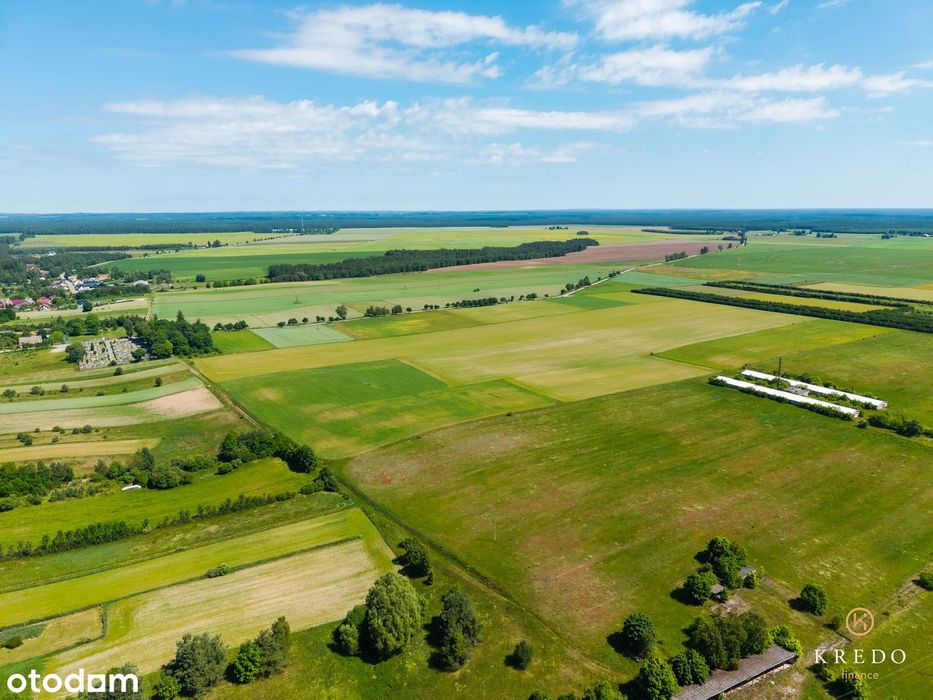 Działka budowlana 1,0036 ha | WZ | Duży potencjał inwest. | Koczała