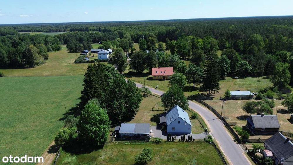 Werstok w Prawdzowej Puszczy Bialowieskiej. Podlasie