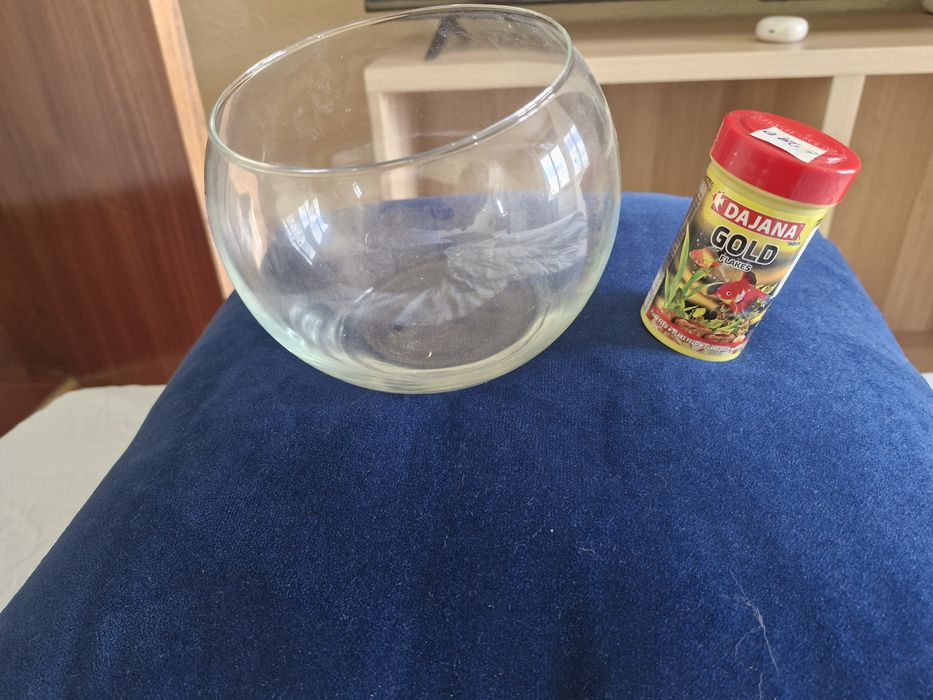 Aquário redondo de vidro e ração para peixe