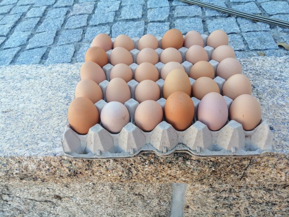 Ovos de origem biológica