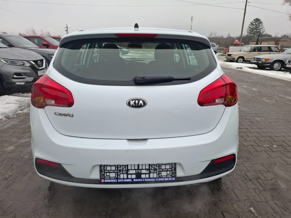 Kia Ceed 1.4B 1-właściciel!