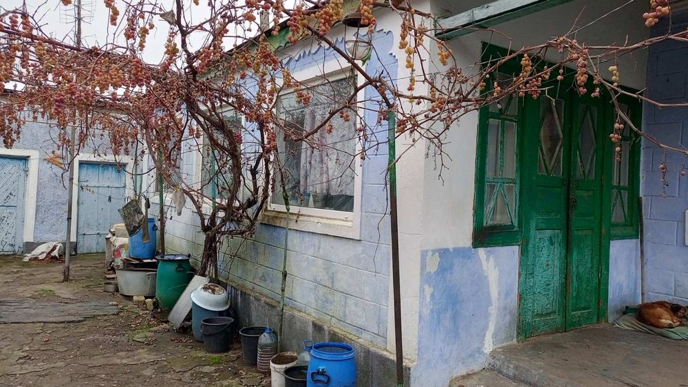 Продам дом в Вознесенському р-ні Миколаївська обл